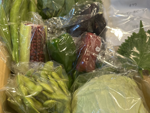 新鮮！旬の野菜セット【SSサイズ：約1.5kg】【7品目】農薬・化学肥料不使用