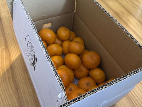 訳あり「せとか」　4ｋｇ