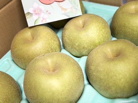 夏到来！ 梨で水分チャージ！ 幸水3キロ 7~9個入り大玉