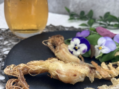 【秋の連休限定セール】根と芽も丸ごと食べられる！ロケット発芽にんにく『30本』＋訳あり品5本　岐阜産クリーンルーム水耕栽培　　　スプラウトにんにく