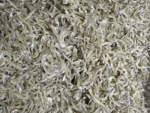 倉橋産でかちりめん　塩分控えめ　　500ｇ