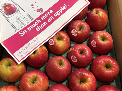 発送中🍎【ヒルナンデスでました！】ピンクレディー®︎ 5キロ訳あり品 加工用 長野県 信州 安曇野 リンゴ 幻 幻のリンゴ 予約 希少 旬 ID36611 ピンクレディー