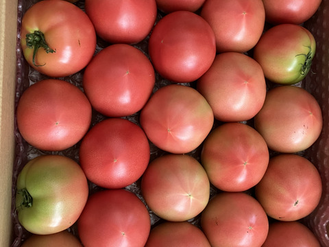今が旬!高原トマト80サイズ箱おまかせ size(収穫時期によって