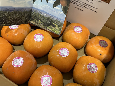 【ご予約】家庭用 糖度に自信！刀根早生柿誕生の地より直送 たねなし柿  SDG.s 2L～L　12玉入りです。たくさんの方に味わっていただきたくて企画しました。