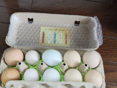 【大好評につき継続販売】スペシャル5種食べ比べ20個セット！富士山の麓でのびのび育ったたまご【食べチョクアワード入賞】