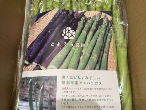【朝採】アスパラガス 2Lサイズ A等級 １kg 【収穫当日発送】