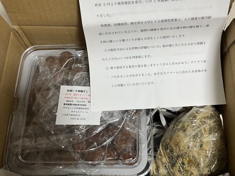 限定品【十郎梅　梅干し2.5年物　大きさ小～中】1000g　塩分18％、塩のみ、他の成分は一切なし、【20年間以上薬品、除草剤を全く使わず、主に堆肥、灰、米ぬか、草木灰で栽培