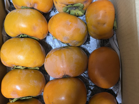 収穫最終期！大玉ゴロゴロ！【富有柿訳あり 10kg】和歌山・橋本産のオレンジの宝石✨　　
お得なうちに！！
