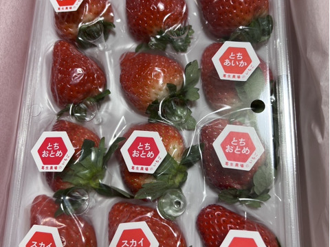 【福袋】「栃木のいちご4種入り！」厳選！2パック9～15粒【ゆりかーご】900g以上