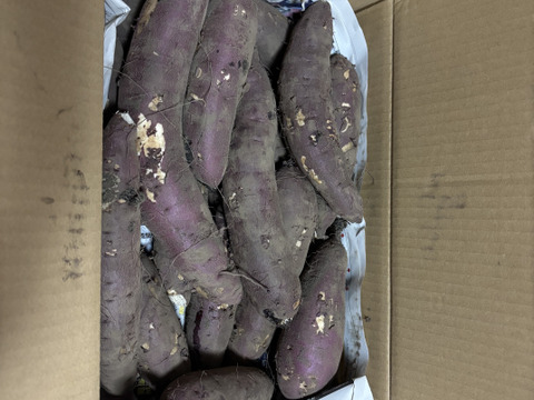 《熟成1ヶ月超えでお届け！》紅はるか（5kg）(茨城県産)・(サツマイモ)(Ⅿ～２Lサイズ)(土付き)