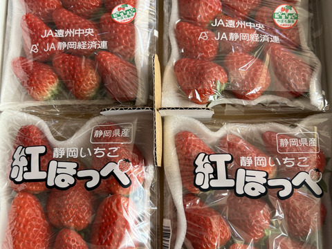 【冬ギフト】静岡県産いちご　紅ほっぺ　ＤＸ　280g×4パック