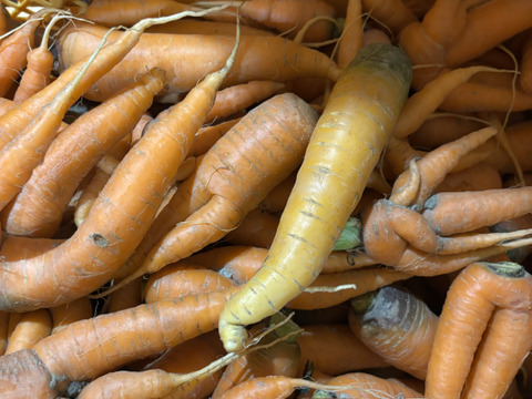 【自然栽培】訳あり時なしにんじん2.5kg