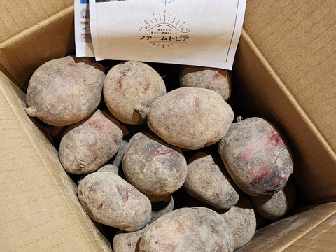 北海道産グランドペチカ5