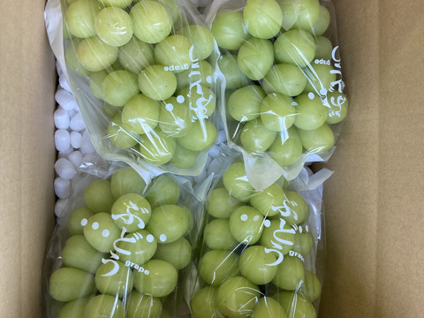 長野県産シャインマスカット2kg(4房)