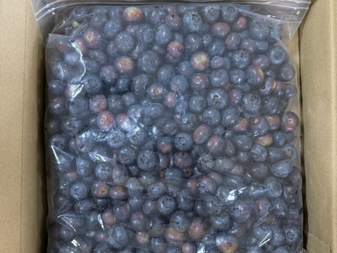 数量限定！特価！【農薬不使用】1.5キロ冷凍ブルーベリー加工用♪ たっぷり 1.5キロ！！ジャムやスムージーに🎶