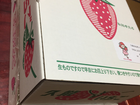 いちご狩りの美味しさをお届け！伝統の石垣いちご（270g×2パック）