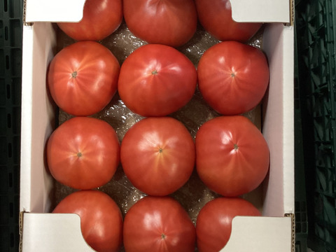 赤丸山口トマト　小箱
