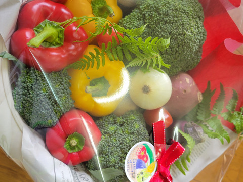 京野菜ブーケ【寿サイズ】出店祝などに！日経ＭＪに掲載されました！】 京野菜ブーケ - 株式会社メディアエージェンンシー 滋賀県の地域