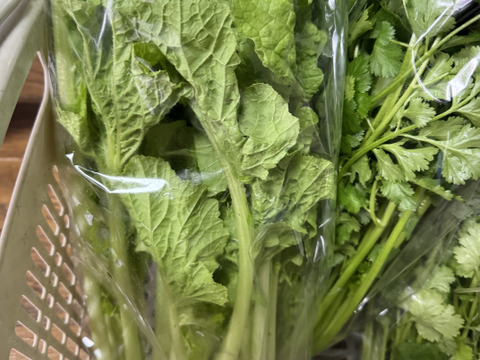 【新春福袋】農薬不使用　冬の野菜セット！箱いっぱいにお入れしてお送りいたします。
