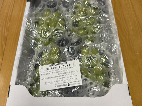 【ご家庭用】晴れの国岡山育ち！大粒シャインマスカット 2kg （3〜4房）