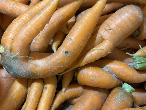 【自然栽培】訳あり時なしにんじん2.5kg