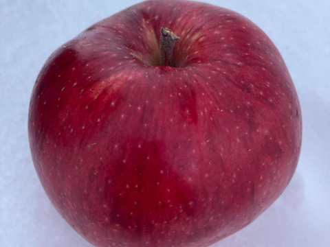 【完売】美紅（みく）お菓子作りに最適！果肉の赤いりんご 2.5kg（6～12玉）