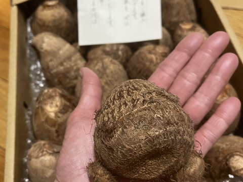 砂丘さといも「里美ん（さとみん）♡」2kg