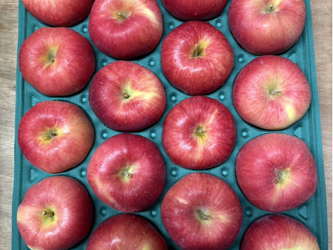 特別栽培!! 生産量の少ない希少りんご「華宝」Ａ品・5㎏