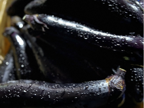 長なす　群馬県産　【訳あり】茄子　10kg