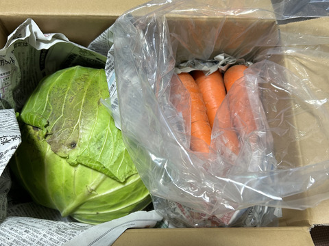 【期間限定】【旬】雪中キャベツ1～3玉（約2～3キロ）＋雪中人参　※段ボール発送 ✨信州の環境にやさしい農産物認証