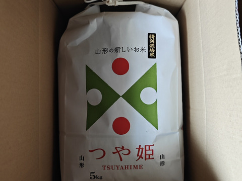 山形県産新米つや姫10kg(5kg×2袋)白米7年産