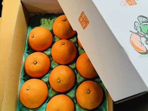 プルプル！ジューシー！まどんな(贈答用　約3キロ)