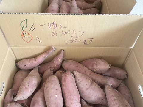ネットリ甘ーい紅はるかを愛情価格でお届け！(10kg）