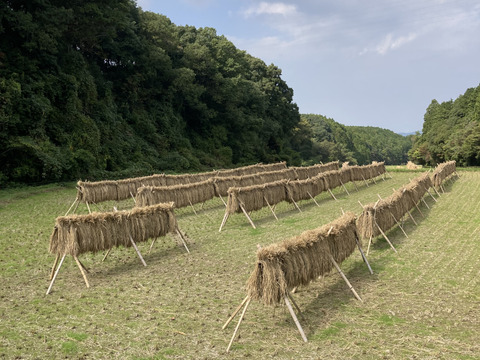 昔ながらのかけ干し米！自然栽培・天日干し玄米5kg