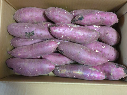 ねっとり甘い！熟成紅はるか　Mサイズ　5kg さつまいも