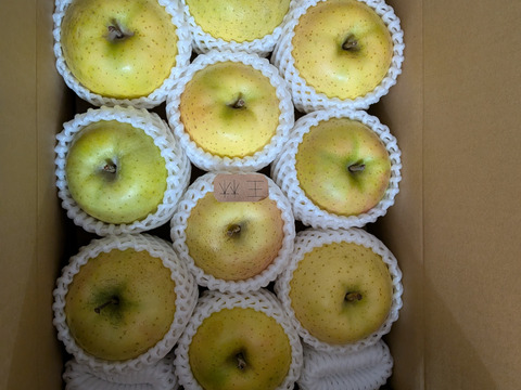 王林好きな方へ【特別栽培/ご家庭用】王林2.8キロ