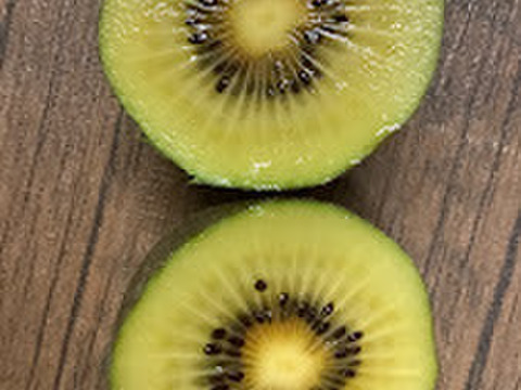 【栽培期間中農薬不使用　訳ありキウイ1㎏】愛知県知多半島産