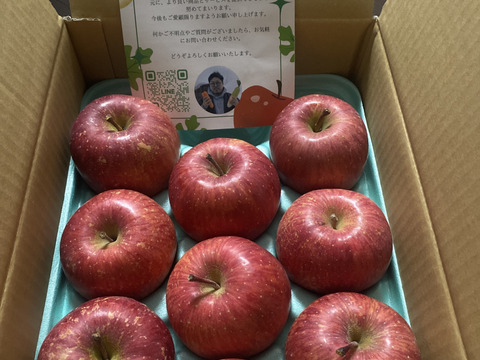 【貯蔵リンゴ】1月下旬より発送ふじ 家庭用 約8〜10玉 3キロ 希少 発送 りんご 雪室 秋田 雪 甘い 雪中貯蔵 長期保存りんご りんごの効能 Apple 母の日 ギフト フルーツ