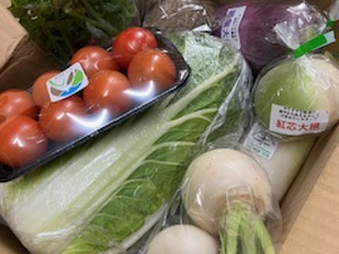 定期便設定（お届け日は２～３日前後します）【たっぷりいろいろ　２０００円セット】農家人が選ぶ旬野菜のおまかせセットです。季節ごとの旬の世界農業遺産ブランド野菜を厳選してお届け致します。