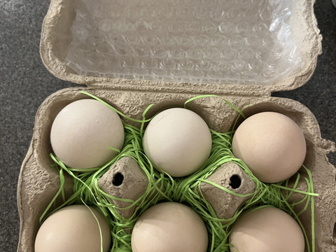 オイバツィカのガラス製鳥は卵