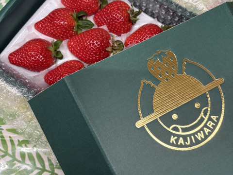 人気品種の大玉いちご！！（9～15粒）