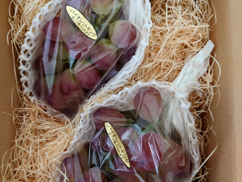 「数量限定」 粒ぷりっぷり食感！果汁が溢れ出るバイオレットキング 1㎏ クイーンマスカット100g程度おまけ有　　少量食べ比べ　クール便