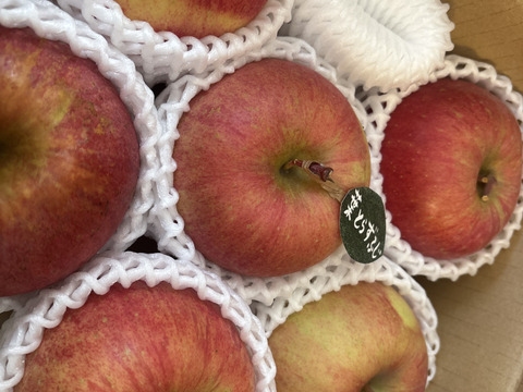 ★★新春セール★★【冬ギフト】 🍎レビュー数1800件突破！！《家庭用》青森完熟葉とらずふじ８〜１２玉(約３kg)🍎ID119812