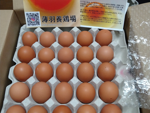 ”味たま”向きのMSサイズ『黒麹』育ちの鶏の赤たまご50個