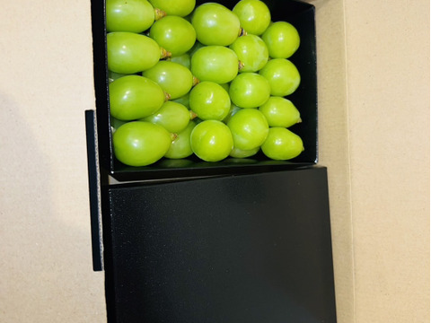 厳選粒売りシャインマスカット 約1kg