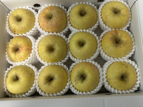 【りんご】幸せの黄色いりんご「はるか3ｋｇ」（フリーサイズ）