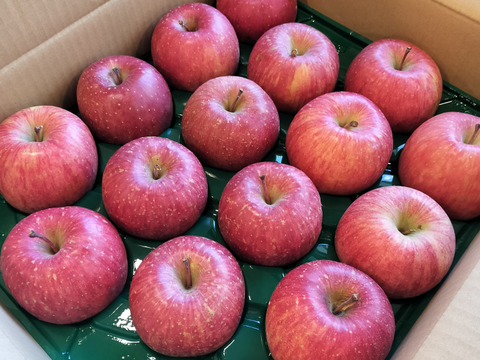 葉とらずサンふじ５キロ家庭用