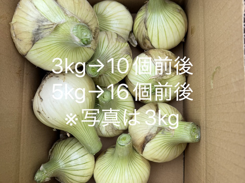 旬だよ！淡路島産新玉ねぎ(5㎏)