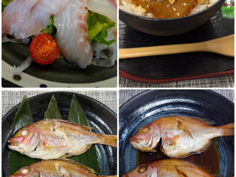 【夏ギフト】【簡単おかず】糸島鯛の簡単おかずシリーズ‼️
鯛煮付け、塩焼き、カルパッチョ、鯛漬けが、時短で魚が食卓に！