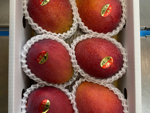 ★数量限定★沖縄県産マンゴー　2kg（3~6玉）！